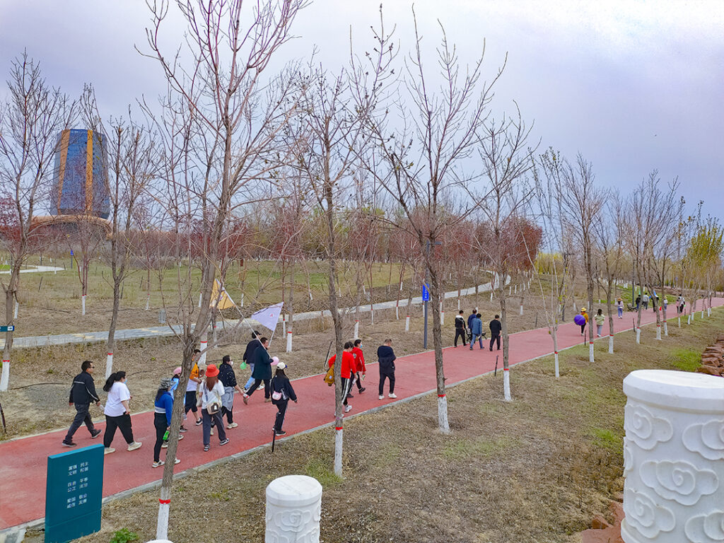 拥抱大自然·健康徒步行|尊龙凯时人生就是搏物流春日团建