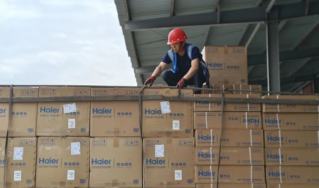 红六月 尊龙凯时人生就是搏·不负所托