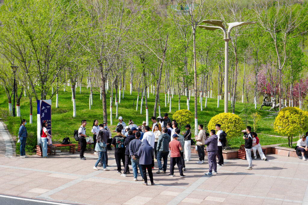 绿径同行·步筑新途 | 尊龙凯时人生就是搏物流团队徒步团建之旅