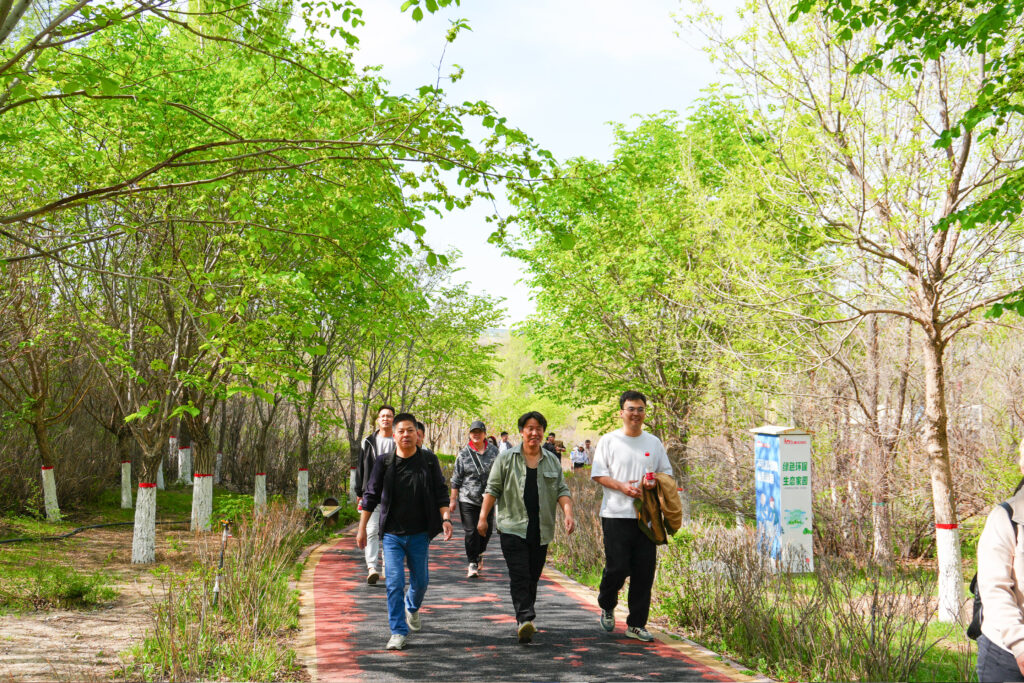 绿径同行·步筑新途 | 尊龙凯时人生就是搏物流团队徒步团建之旅