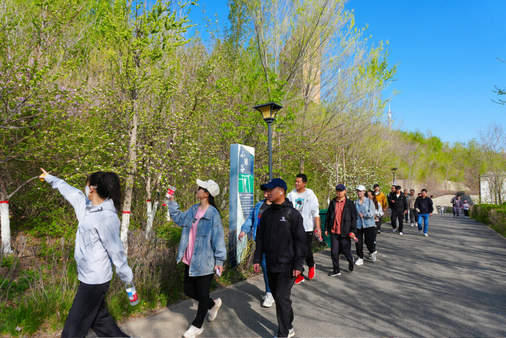 绿径同行·步筑新途 | 尊龙凯时人生就是搏物流团队徒步团建之旅